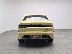 2024 BYD Destroyer 05 DM-i PHEV 120KM Luxury — фото 4
