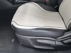 2024 BYD Destroyer 05 DM-i PHEV 120KM Luxury — фото 20