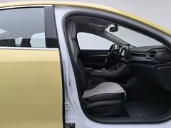 2024 BYD Destroyer 05 DM-i PHEV 120KM Luxury — фото 23