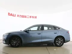 2024 BYD Seal 06 DM-i PHEV 80km Premium, синий — фото 14