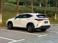 2023 Lexus NX 350h 2WD, белый — фото 7