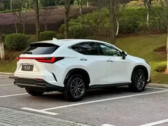 2023 Lexus NX 350h 2WD, белый — фото 9