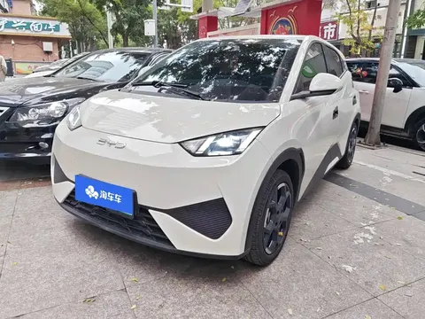 2025 BYD Seagull Smart Driving 405km Freedom
