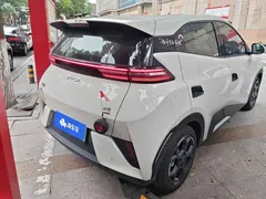 2025 BYD Seagull Smart Driving 405km Freedom — фото 3