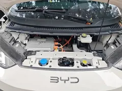 2025 BYD Seagull Smart Driving 405km Freedom — фото 10