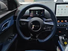 2025 BYD Seagull Smart Driving 405km Freedom — фото 15