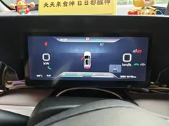2023 BYD Song Pro Champion DM-i PHEV 110KM Excellence — фото 7