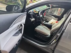2023 BYD Song Pro Champion DM-i PHEV 110KM Excellence — фото 12