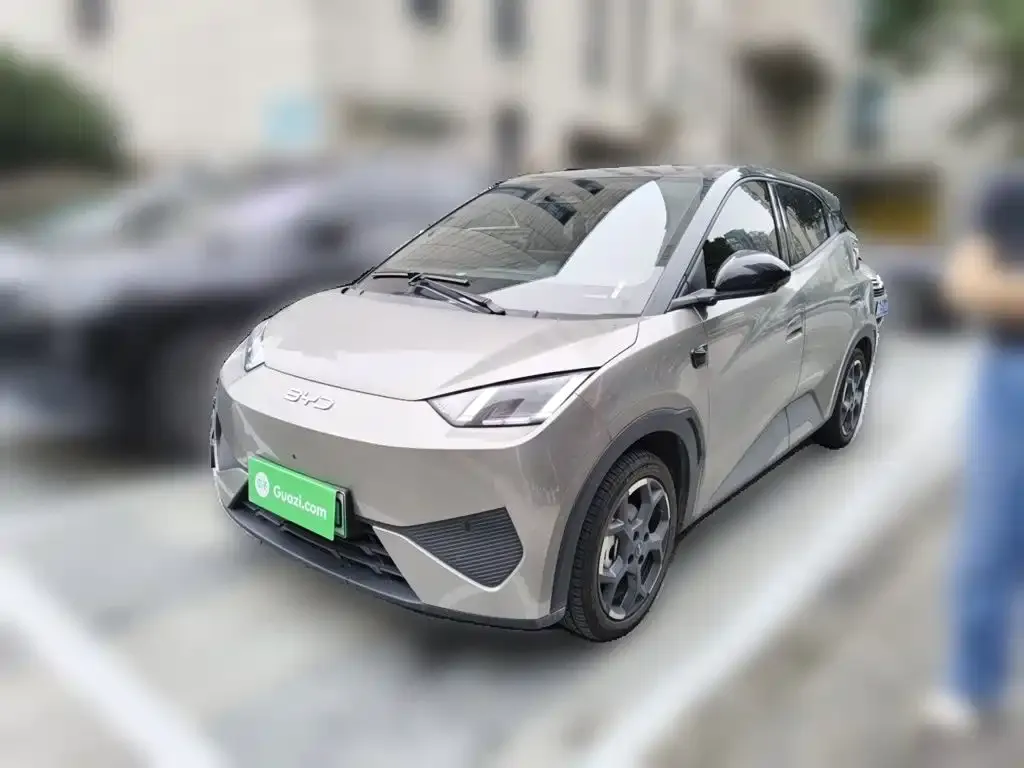 2025 BYD Seagull Smart Driving 305km Freedom
