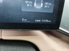 2025 BYD Seagull Smart Driving 305km Freedom — фото 8