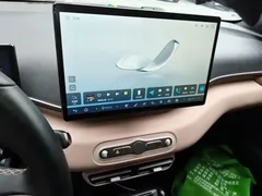 2025 BYD Seagull Smart Driving 305km Freedom — фото 9