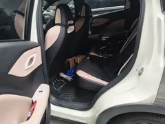 2025 BYD Seagull Smart Driving 305km Freedom — фото 13