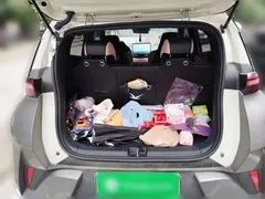 2025 BYD Seagull Smart Driving 305km Freedom — фото 15