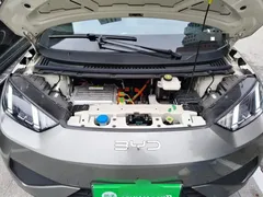 2025 BYD Seagull Smart Driving 305km Freedom — фото 16