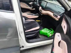 2025 BYD Seagull Smart Driving 305km Freedom — фото 19