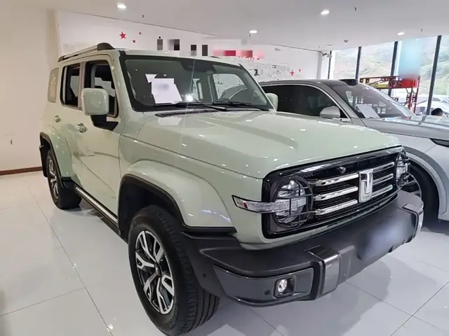 2021 Tank 300 City 2.0T