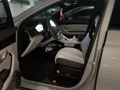 2025 BYD Song PLUS DM-i 112KM PHEV Premium — фото 9