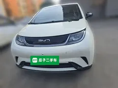 2025 BYD Dolphin 420km Freedom — фото 2