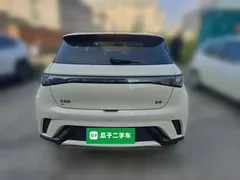 2025 BYD Dolphin 420km Freedom — фото 3