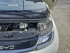 2025 BYD Dolphin 420km Freedom — фото 21