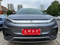 2024 BYD Yuan PLUS Honor 510KM Leading — фото 2