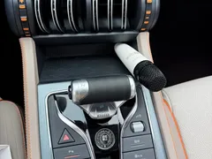 2024 BYD Yuan PLUS Honor 510KM Leading — фото 15