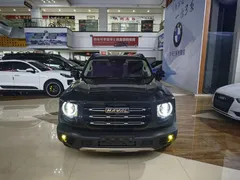 2022 Haval Dargo 2.0T DCT 4WD Chinese Rural Dog Edition, чёрный — фото 1