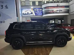 2022 Haval Dargo 2.0T DCT 4WD Chinese Rural Dog Edition, чёрный — фото 5
