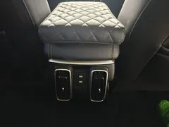 2022 Haval Dargo 2.0T DCT 4WD Chinese Rural Dog Edition, чёрный — фото 10