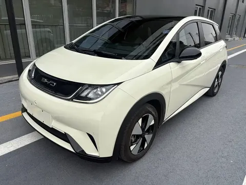 2023 BYD Dolphin 420km Fashion