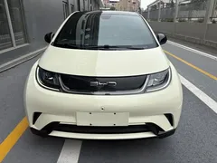 2023 BYD Dolphin 420km Fashion, белый — фото 2