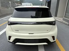 2023 BYD Dolphin 420km Fashion, белый — фото 9