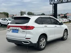 2021 Haval M6 Plus 1.5T DCT Elite, белый — фото 9