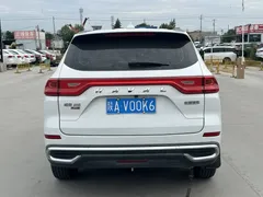 2021 Haval M6 Plus 1.5T DCT Elite, белый — фото 10