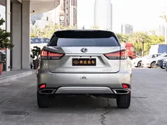 2020 Lexus RX 300 4WD Elegant — фото 5