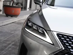 2020 Lexus RX 300 4WD Elegant — фото 6