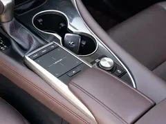 2020 Lexus RX 300 4WD Elegant — фото 18