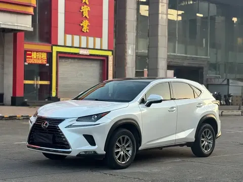 2020 Lexus NX 200 2WD Fengxing China VI