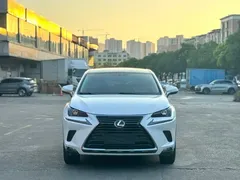 2020 Lexus NX 200 2WD Fengxing China VI, белый — фото 2