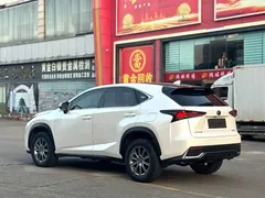 2020 Lexus NX 200 2WD Fengxing China VI, белый — фото 7