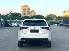2020 Lexus NX 200 2WD Fengxing China VI, белый — фото 8