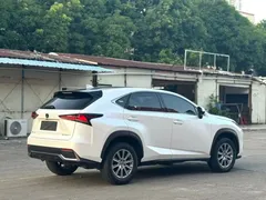 2020 Lexus NX 200 2WD Fengxing China VI, белый — фото 9