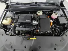 2023 BYD Qin PLUS Champion DM-i PHEV 55KM Leading — фото 6