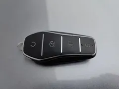 2023 BYD Qin PLUS Champion DM-i PHEV 55KM Leading — фото 19