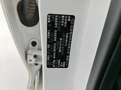 2019 Hyundai Lafesta 280TGDi China VI, белый — фото 18
