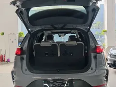 2025 BYD Tang DM-i PHEV 115km Flagship — фото 4