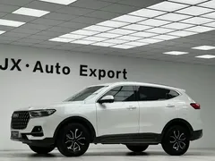 2023 Haval H6 1.5T AT Guochao Urban, белый — фото 22