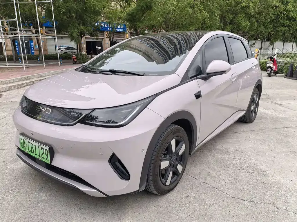 2025 BYD Dolphin Smart Driving 410km Fashion