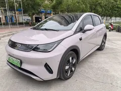 2025 BYD Dolphin Smart Driving 410km Fashion — фото 1