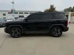 2022 Haval Cool Dog 1.5T DCT 2WD, чёрный — фото 2